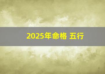 2025年命格 五行